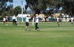 A Tim Pillion wicket (or injury ?) causes some celebration