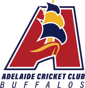 ACC_Positive_RGB-removebg-preview