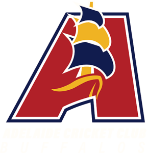 ACC_Reversed_RGB copy